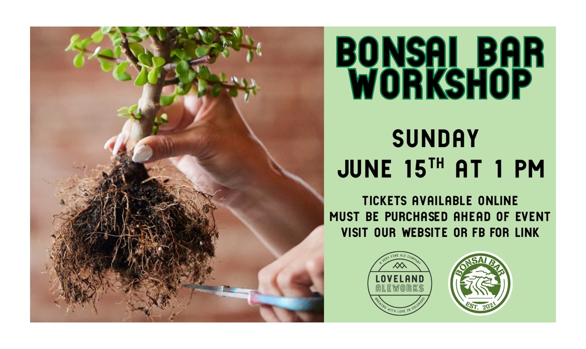 A Chill Father’s Day Adventure at the Bonsai Bar 🌿